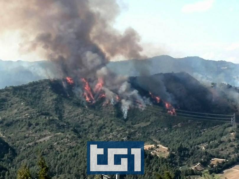 Le fiamme avvolgono le colline marchigiane ANSA-TG1